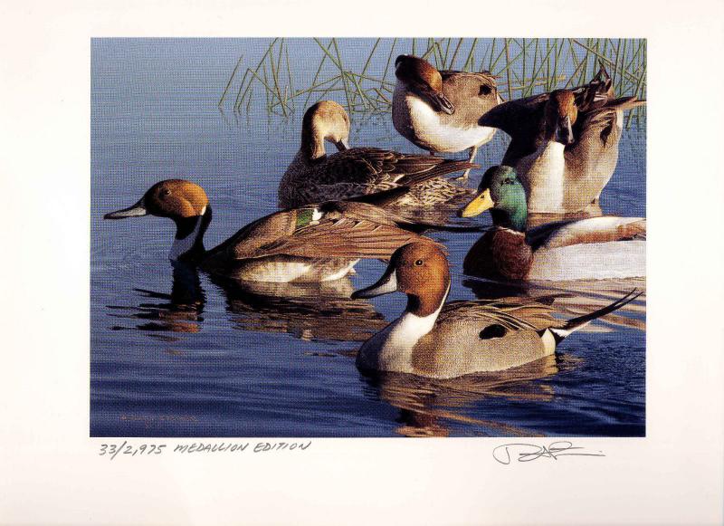 OREGON #15 1998 STATE DUCK STAMP PRINT Med Ed + 2 stamps by Robert Steiner