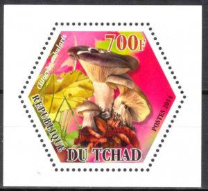 Chad 2014 Mushrooms (3) MNH Cinderella !