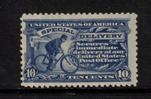 USA #E6 Mint Fine Never Hinged