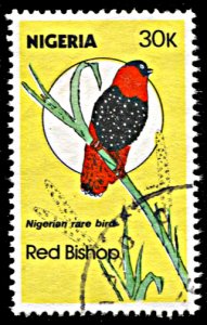 Nigeria 464, used, Red Bishop Bird