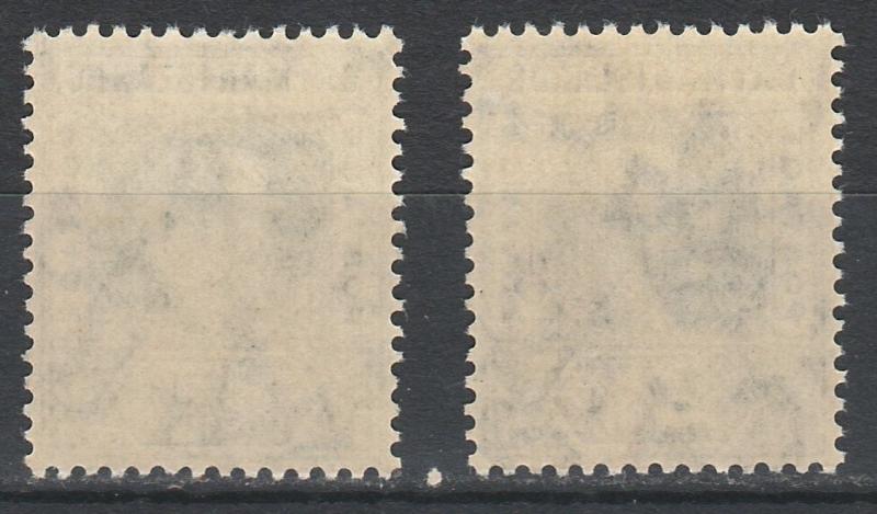 CAYMAN ISLANDS 1905 KEVII 1/2D AND 21/2D WMK MULT CROWN CA