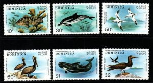 DOMINICA SG660/5 1979 MARINE WILDLIFE MNH