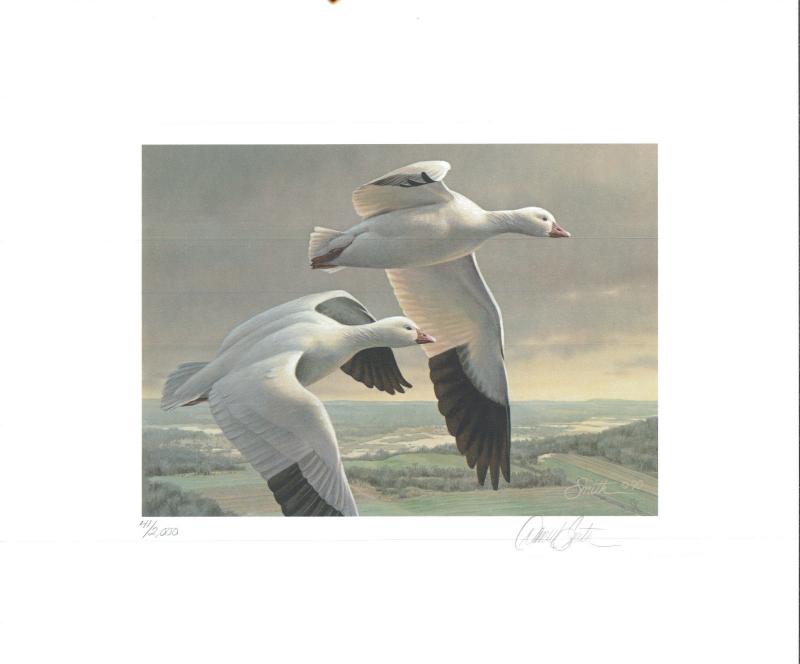 MINNESOTA #15 1991 STATE DUCK STAMP PRINT ROSS' GEESE by Daniel Smith 2 stamps