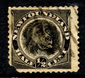 Newfoundland Stamp #58 USED SINGLE - SPACE FILLER