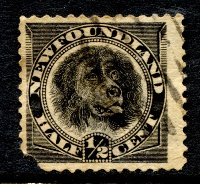 Newfoundland Stamp #58 USED SINGLE - SPACE FILLER