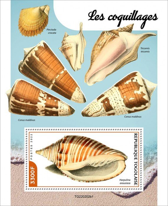 2022/06 - TOGO - SHELLS  I                      1V  complet set    MNH ** T