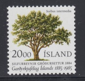 Iceland    #608     mnh     cat 1.00