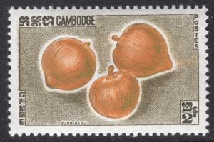 CAMBODIA SCOTT 109