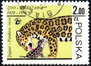 Wildcat, Jaguar, Poland stamp SC#2304 Used