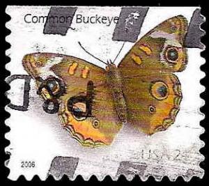 # 4001a USED COMMON BUCKEYE BUTTERFLY