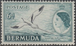 Bermuda    #226   Used