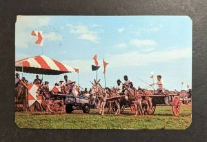 1964 Donkey Cart Race MS Kungsholm Swedish American Line Picture Postcard Cover