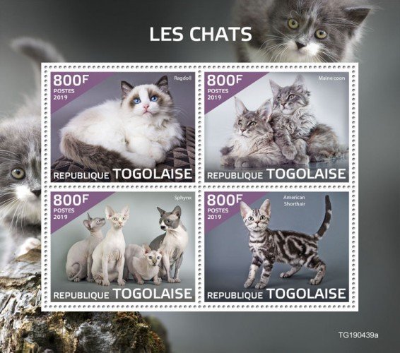 TOGO - 2019 - Cats - Perf 4v Sheet  - M N H