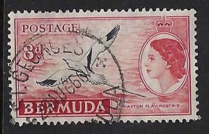 Bermuda 153 VFU BIRD X846-1