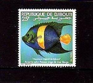 DJIBOUTI - 1981 - TROPICAL FISH - ANGELFISH - MINT - MNH - SINGLE!