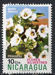Nicaragua; 1974: Sc. # 936: */MH Single Stamp