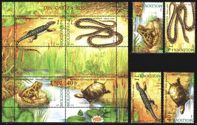 Moldova. 2005. 524-27, bl 35. Frogs, lizards, fauna. MNH.