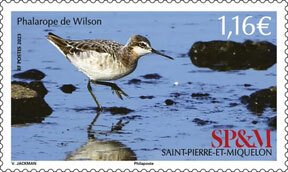 Scott # 1129 Water Fowl MNH