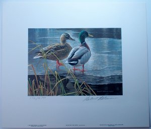 Canada 1985 Wildlife Habitat Stamp Signed Artwork Print Ducks Birds Limited