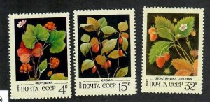 Russia; Scott 5023, 5026-5027; 1982;  Unused; NH; Berries