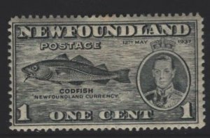 Newfoundland Sc#233 MH