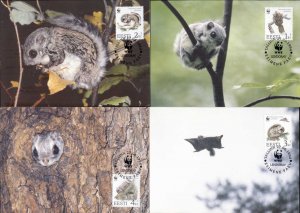 Estonia 1994 WWF European Flying Squirrel Maxicards