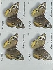 Common Buckeye  forever stamps  10 Books total 100pcs