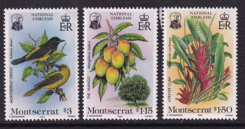 Montserrat 551-553 Birds MNH VF