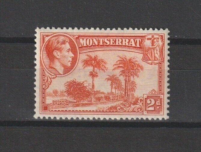 MONTSERRAT 1938/48 SG 104 MINT Cat £25