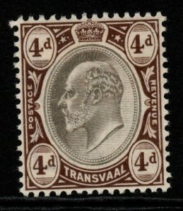 TRANSVAAL SG249 1902 4d BLACK & BROWN MTD MINT