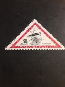 +Hungary #C100              CTO