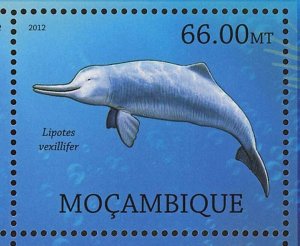 Dolphins Stamp Pontoporia Blainvillei Platanista Gangetica S/S MNH #5817-5822