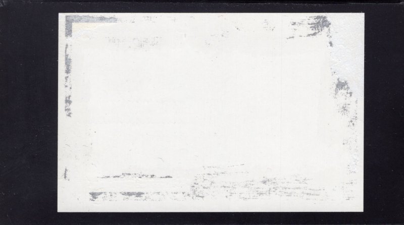 4123 Polar Year, unused