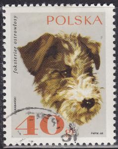 Poland 1637 Rough-Haired Fox Terrier 40GR 1969