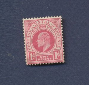 NATAL - Scott 82 - MNH without gum - 1902