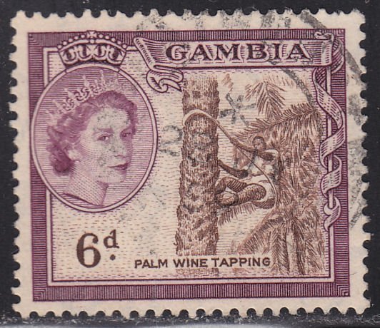 Gambia 159 Palm Wine Tapping 1953