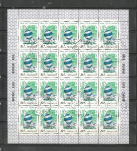 #B81 Star-Class Yachts