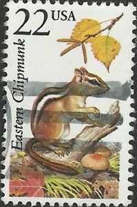 # 2297 USED EASTERN CHIPMUNK