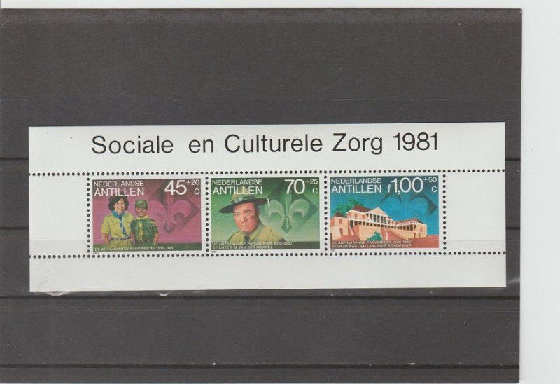 Netherlands Antilles  Scott#  B191a  M/S  (1981 Social & Cultural Institutions)