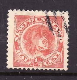 Newfoundland-Sc#57-used 1/2c orange red Dog-small owners # on back-1896-Nfw35-