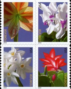 2014 49c Winter Flowers, Booklet Block of 4 Scott 4862-65 Mint F/VF NH