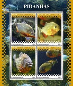 Sierra Leone - 2019 Red-bellied Piranha Fish - 4 Stamp Sheet - SRL190916a