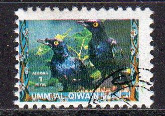 Umm al Qiwain (Unlisted) - CTO - Ravens (Bird)