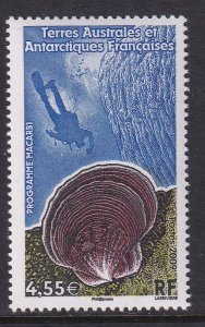 French Southern and Antarctic Territories417 Clam MNH VF