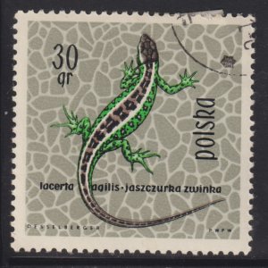 Poland 1134 Sand Lizard 1963