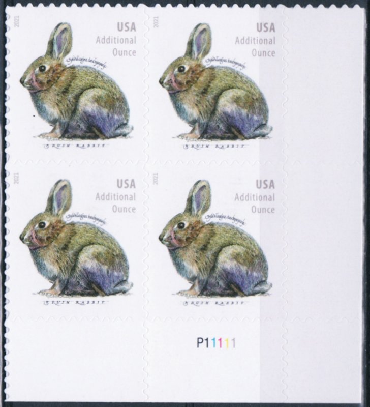 USA Sc. 5544 (20c) Brush Rabbit 2021  MNH plate block