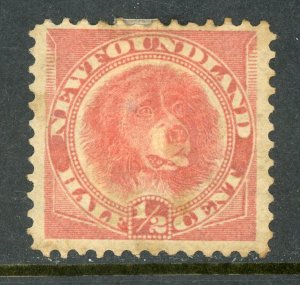 Canada 1887 Newfoundland ½¢ Rose Red Dog Scott 56 Mint V410