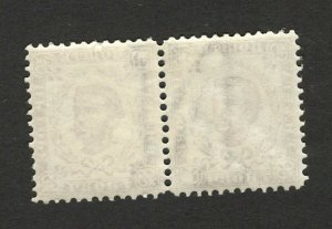 MONTENEGRO - MNH PAIR, 7 N -KING NIKOLA  - perf 11½ -WATER MARK (Wz) -1893.