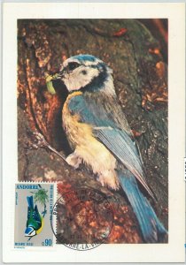 63370 - FRENCH ANDORRA - POSTAL HISTORY: MAXIMUM CARD - BIRDS 1973-