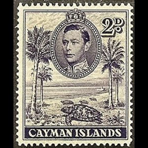 CAYMAN IS. 1943 - Scott# 104 Turtle Perf.14 2p LH